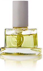 Herbaceous Spearmint Refill